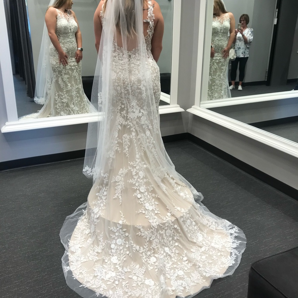 Wedding dress and veil